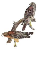 Life Coaching Client Testimonials